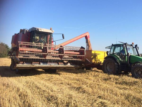Комбайн Massey Ferguson 34 (1990)