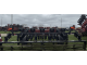 Глибокорозпушувач CASE IH ECOLO-TIGER 530B (2004)
