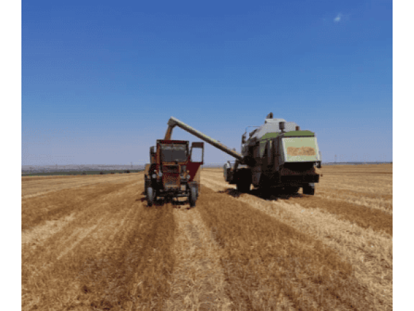 Комбайн Claas Dominator 88S (2000)