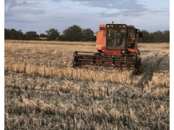 Комбайн Case IH 1640 (1986)