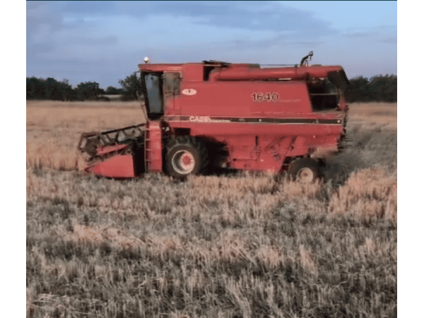 Комбайн Case IH 1640 (1986)