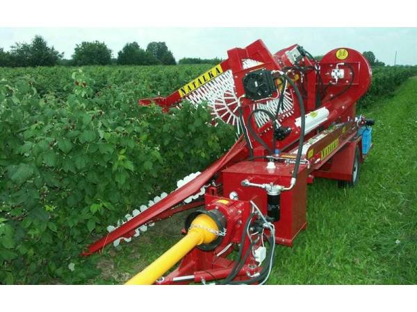 Комбайн для уборки малины Natalka (2025)