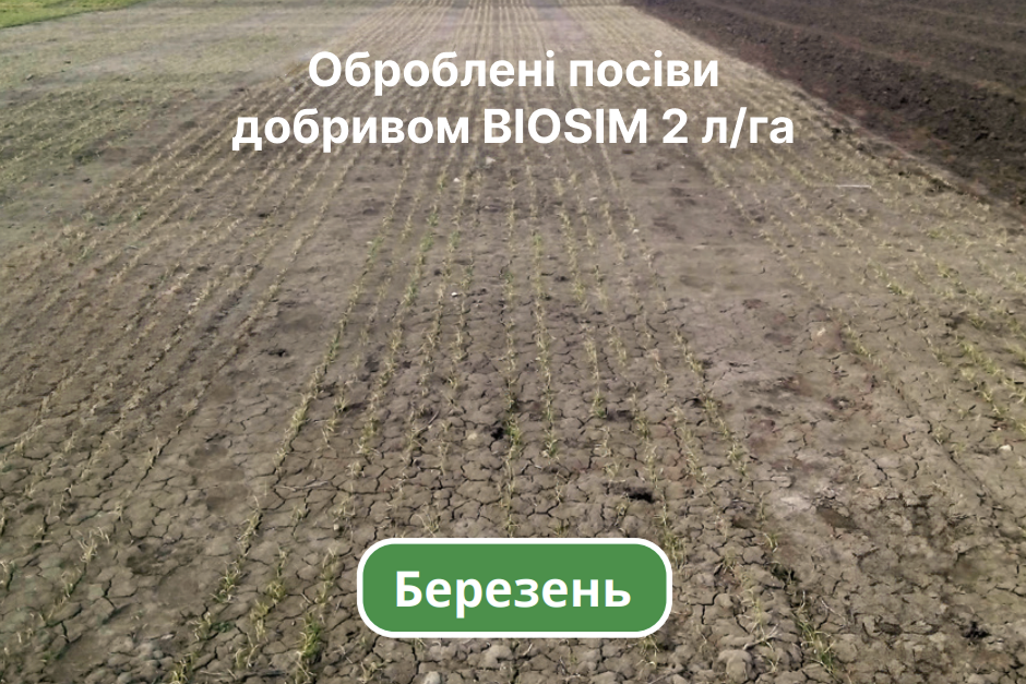 Березень